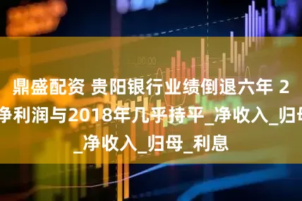鼎盛配资 贵阳银行业绩倒退六年 2024年净利润与2018年几乎持平_净收入_归母_利息