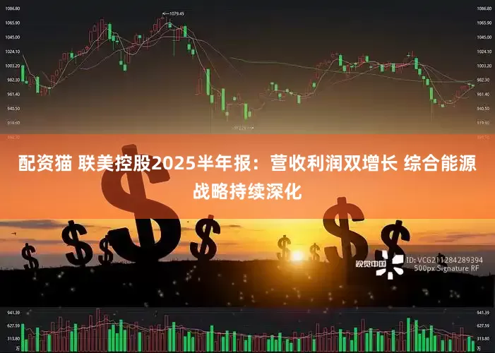 配资猫 联美控股2025半年报：营收利润双增长 综合能源战略持续深化