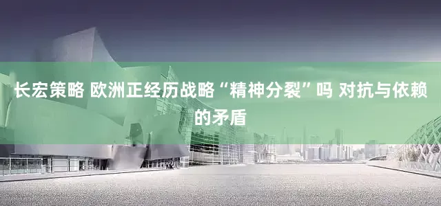 长宏策略 欧洲正经历战略“精神分裂”吗 对抗与依赖的矛盾